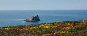 Preview wallpaper coast, sea, rock, grass, flowers, nature