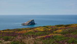 Preview wallpaper coast, sea, rock, grass, flowers, nature