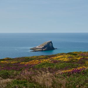 Preview wallpaper coast, sea, rock, grass, flowers, nature