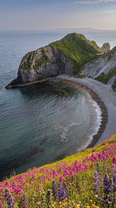 Preview wallpaper coast, sea, rock, flowers, cliff, landscape