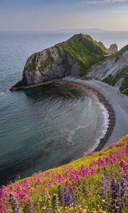 Preview wallpaper coast, sea, rock, flowers, cliff, landscape