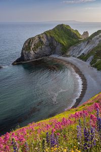 Preview wallpaper coast, sea, rock, flowers, cliff, landscape