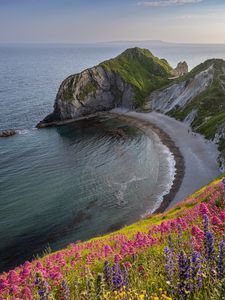 Preview wallpaper coast, sea, rock, flowers, cliff, landscape