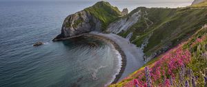 Preview wallpaper coast, sea, rock, flowers, cliff, landscape