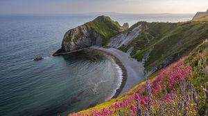 Preview wallpaper coast, sea, rock, flowers, cliff, landscape