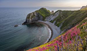 Preview wallpaper coast, sea, rock, flowers, cliff, landscape