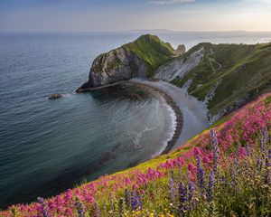 Preview wallpaper coast, sea, rock, flowers, cliff, landscape