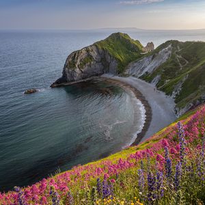 Preview wallpaper coast, sea, rock, flowers, cliff, landscape