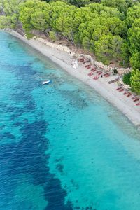 Preview wallpaper coast, sea, sand, trees, beach