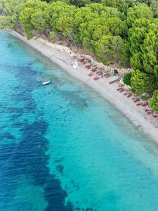 Preview wallpaper coast, sea, sand, trees, beach
