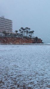 Preview wallpaper coast, sea, snow, palm trees, building, winter