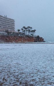 Preview wallpaper coast, sea, snow, palm trees, building, winter