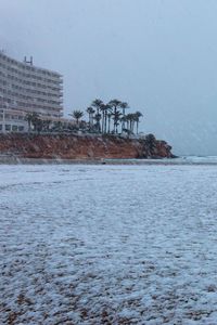 Preview wallpaper coast, sea, snow, palm trees, building, winter