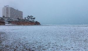 Preview wallpaper coast, sea, snow, palm trees, building, winter