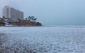 Preview wallpaper coast, sea, snow, palm trees, building, winter