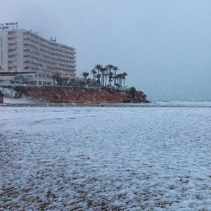Preview wallpaper coast, sea, snow, palm trees, building, winter