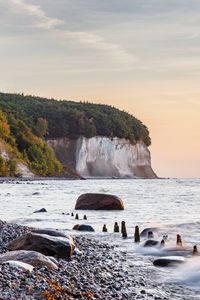 Preview wallpaper coast, sea, stones, rock, trees