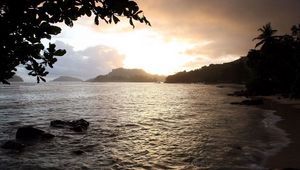 Preview wallpaper coast, sea, stones, tree, leaves, sand, clouds