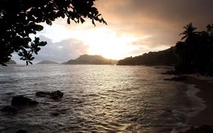 Preview wallpaper coast, sea, stones, tree, leaves, sand, clouds