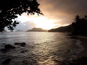 Preview wallpaper coast, sea, stones, tree, leaves, sand, clouds