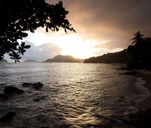 Preview wallpaper coast, sea, stones, tree, leaves, sand, clouds