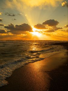 Preview wallpaper coast, sea, sun, sunset