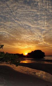 Preview wallpaper coast, sea, sunset, trees, sky, evening
