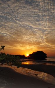 Preview wallpaper coast, sea, sunset, trees, sky, evening