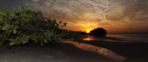 Preview wallpaper coast, sea, sunset, trees, sky, evening