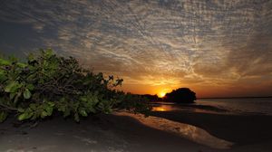 Preview wallpaper coast, sea, sunset, trees, sky, evening