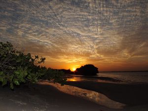 Preview wallpaper coast, sea, sunset, trees, sky, evening