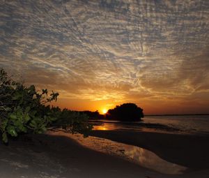 Preview wallpaper coast, sea, sunset, trees, sky, evening