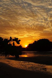 Preview wallpaper coast, sea, sunset, landscape, trees