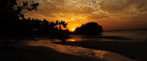 Preview wallpaper coast, sea, sunset, landscape, trees