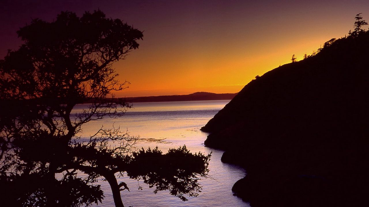 Wallpaper coast, sea, tree, outlines, twilight, evening, sky