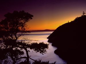 Preview wallpaper coast, sea, tree, outlines, twilight, evening, sky