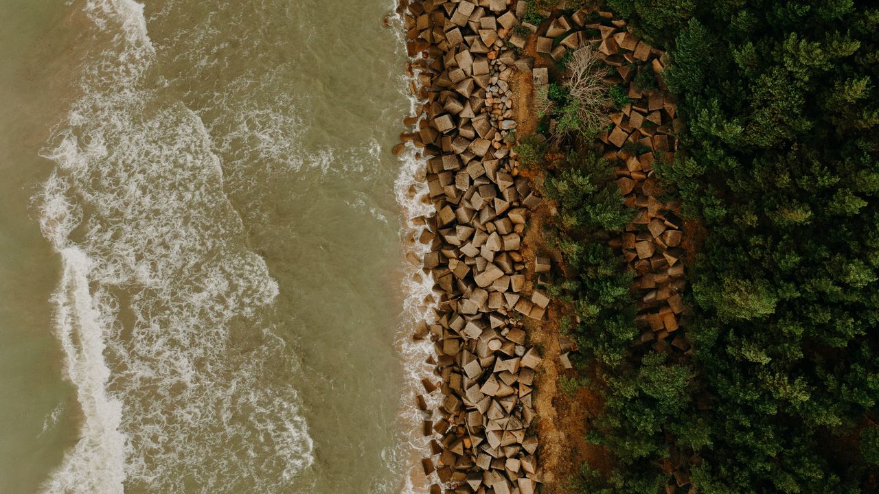 Wallpaper coast, sea, trees, aerial view