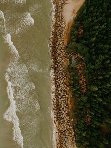 Preview wallpaper coast, sea, trees, aerial view