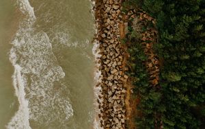 Preview wallpaper coast, sea, trees, aerial view