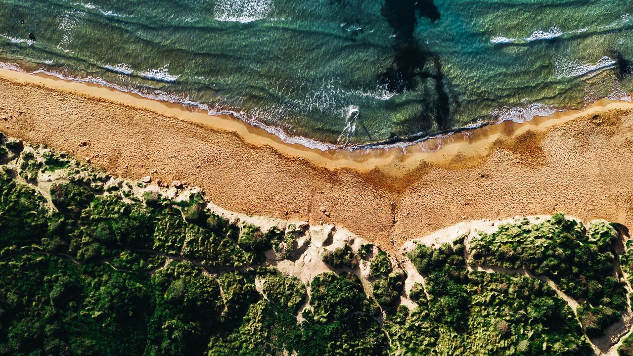 Wallpaper coast, sea, vegetation, beach, sand, surf, aerial view