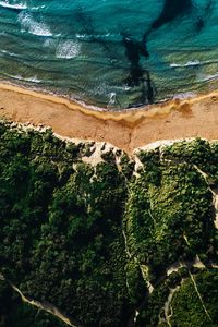 Preview wallpaper coast, sea, vegetation, beach, sand, surf, aerial view