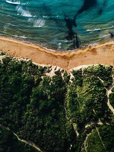 Preview wallpaper coast, sea, vegetation, beach, sand, surf, aerial view