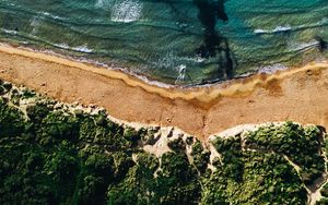 Preview wallpaper coast, sea, vegetation, beach, sand, surf, aerial view