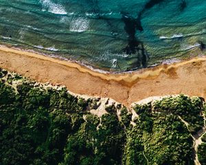 Preview wallpaper coast, sea, vegetation, beach, sand, surf, aerial view