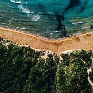 Preview wallpaper coast, sea, vegetation, beach, sand, surf, aerial view