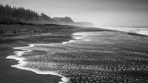 Preview wallpaper coast, sea, waves, landscape, black and white