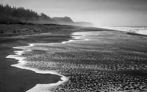 Preview wallpaper coast, sea, waves, landscape, black and white