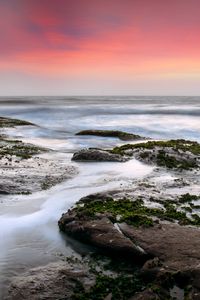 Preview wallpaper coast, sea, waves, nature