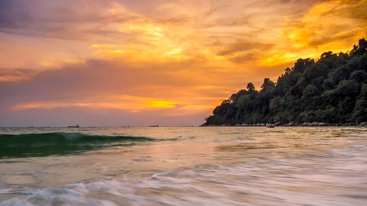 Wallpaper coast, sea, waves, long exposure, trees