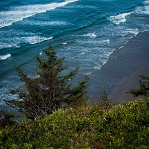 Preview wallpaper coast, sea, waves, foam, trees, landscape